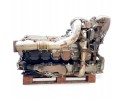 Motor MAN 81005016299