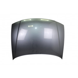 GRIS CAPO AUDI A3 (8L)