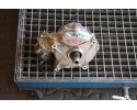 3221 GEARBOX REDUCER VW AUDI 0CJ409431E