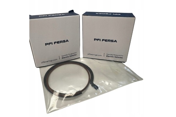 PFI FERSA REPAIR UNIT RENAULT ZOE PMR 003 EVK Packaging status original