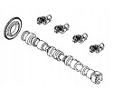 Exhaust camshaft cranes Mazda 2 2 D Catalog number of the part SH01 12 440b SH09 12 150