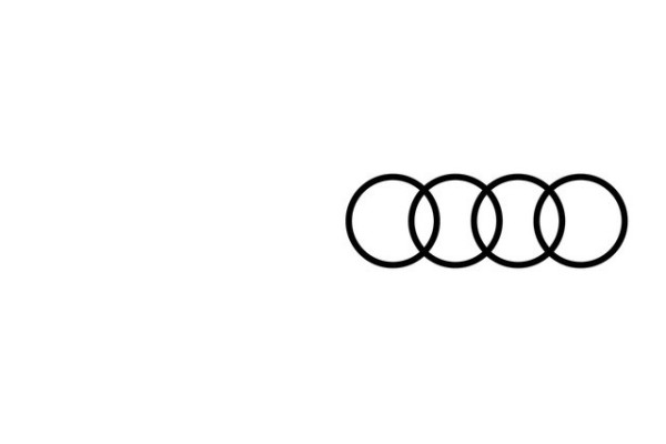 Snow chain set 81A091387B AUDI OE ORIGINAL Part manufacturer Audi OE
