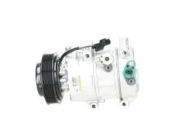 Compresor de aire acondicionado BV Psh 090.255.065.200