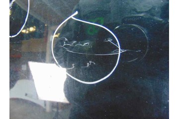 NEGRO CAPO AUDI A6 BERLINA (4F2)