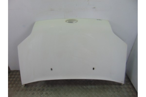 Capo, Ford Tourneo Connect (TC7) Kombi B. corta (2006- ) 2004, BLANC0