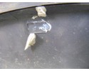 Aletin trasero izquierdo, Toyota RAV4 (A2) 2.0 D-4D Sol 4X4 (2003- ) 2004