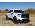 Tough Guard Hood Deflector for Ford F 150 2015 2020 FormFit TG8A15 Part manufacturer FORMFIT