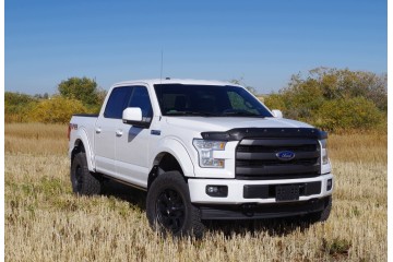 Tough Guard Hood Deflector for Ford F 150 2015 2020 FormFit TG8A15 Part manufacturer FORMFIT