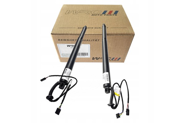 Tailgate actuator SKODA Superb II set rear left right 31463261