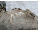 Rear reducer BMW 5 E39 1428496 2 0L gasoline 110kW 2000 Part manufacturer BMW OE