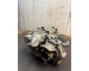 Rear differential Lexus NX I AZ10 2014 2021 R925W109665 G105048020 Catalog number of the part R925W109665