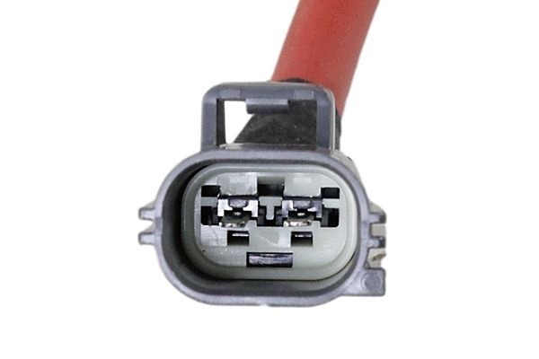 0930018 METZGER_G DPF INJECTOR