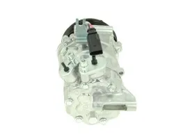 Compresor de aire acondicionado BV Psh 090.165.110.876