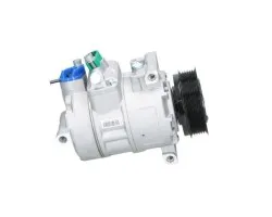 Compresor de aire acondicionado BV Psh 090.305.010.050