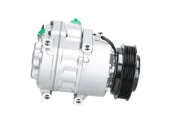 Compresor de aire acondicionado BV Psh 090.155.072.874
