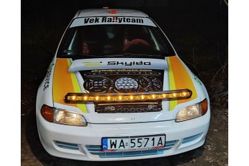 Barra LED Curvada SKYLED FORNAX 43
