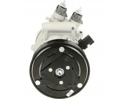 Compresor de aire acondicionado BV Psh 090.595.024.874