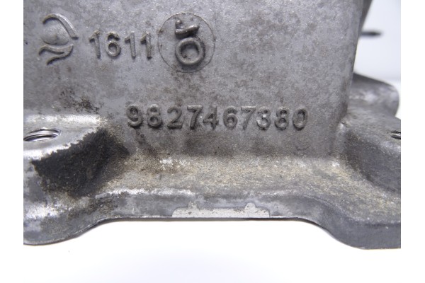 9827467380 SOBRECARTER PEUGEOT 5008