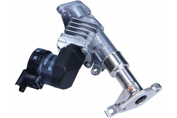 11717563241 VALVE EGR BMW 1 6 2 0 N43B16 20