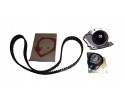 Timing Belt Set Renault Dacia 119A09639R Original