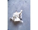 BRIDGE DYFER REAR FIAT 500X JEEP RENEGADE 2 0 CRD 4X4 00552758200 Catalog number of the part 00552758200 19AMG420200