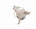 Rear Differential Rear Mercedes Benz ML W164 1643500414 Catalog number of the original 1643500414