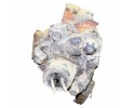 A9423500134 MERCEDES BENZ Differential drive axle Catalog number of the part A9423500134