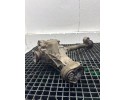 Front reducer PORSCHE CAYENNE 9PA KHJ 4 81L gasoline 368kW 2007