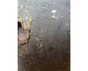Rear reducer AUDI A6 Avant 4A C4 AAT24053 1996 Catalog number of the part AAT24053