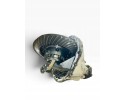 2035701 SCANIA Differential drive axle Packaging status replacement