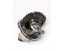 2035701 SCANIA Differential drive axle Car type trucks