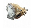 Rear reducer MERCEDES BENZ E W211 2113506362 2 79L diesel 140kW 2005 Catalog number of the part 2113506362