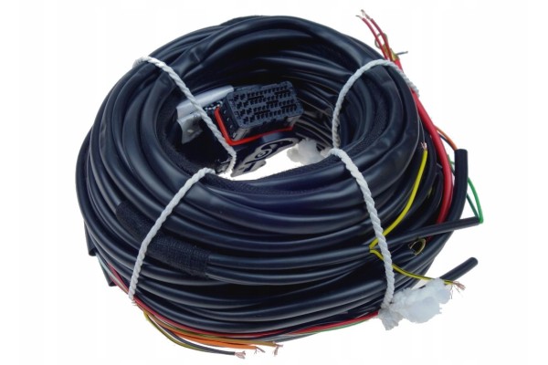 Sequence Stag Q next QNEXT Plus Electronics 4 cyl Catalog number of the part WEG AMA028409999 300