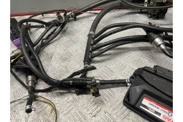 Juego de Instalación de GLP V8 STAG-300-8 QMAX BASIC E65