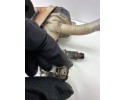 Sistema de Calefacción Auxiliar (Webasto) para BMW Serie 5 E60 E61 200