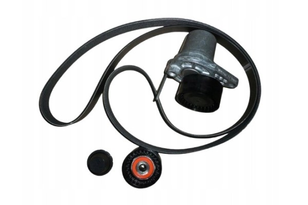 Drive Belt Renault 1 6Dci 117209886R Original