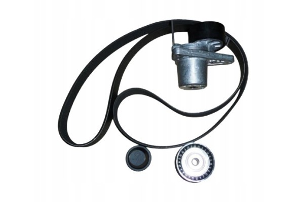 Drive Belt Renault 1 6Dci 117209886R Original Part manufacturer Renault OE