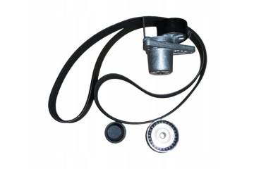 Drive Belt Renault 1 6Dci 117209886R Original Part manufacturer Renault OE