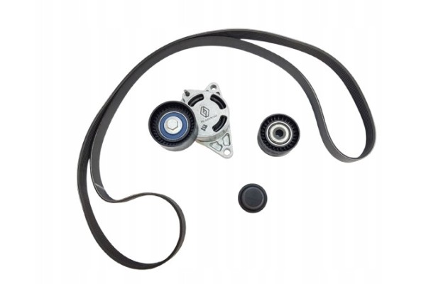 Kpl Paska Wedge Renault 2 5Dci 117204663R Original