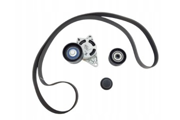 Kpl Paska Wedge Renault 2 5Dci 117204663R Original