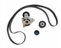Kpl Paska Wedge Renault 2 5Dci 117204663R Original Part manufacturer Renault OE