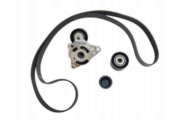 Kpl Paska Wedge Renault 2 5Dci 117204663R Original Part manufacturer Renault OE