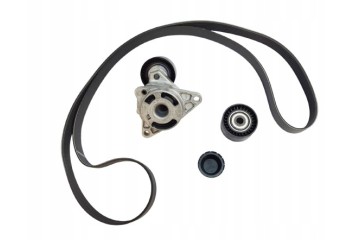 Kpl Paska Wedge Renault 2 5Dci 117204663R Original Part manufacturer Renault OE