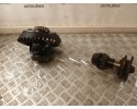 Diferencial trasero Iveco Daily 35.8 - 9 2009