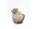 1722314 SCANIA Differential drive axle Part manufacturer Scania OE