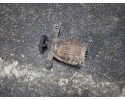 Rear reducer LEXUS IS II GSE2_ ALE2_ USE2_ 381060209 2 2L diesel