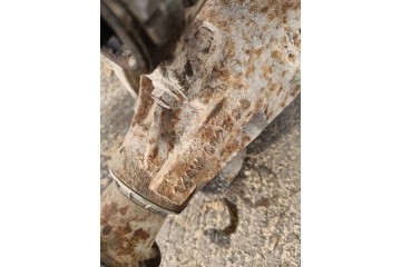 Rear reducer JAGUAR X TYPE X400 1X4W4033AB 3 0L gasoline 169kW 2002 Catalog number of the part 1X4W4033AB