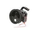 LAUBER 55 6163 Hydraulic pump for steering gear new Part manufacturer Lauber