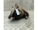 Diferencial trasero - BMW X5 (E70) (2006-2013) - 7590913