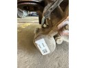 Diferencial Trasero Haldex VW Seat Skoda Audi 4x4 0CQ525010H 0CQ907554